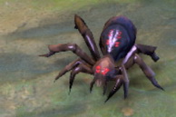 Mods for Dota 2 Skins Wiki - [Hero: Broodmother] - [Slot: spiderling] - [Skin item name: Queen Arachnia Spawn]