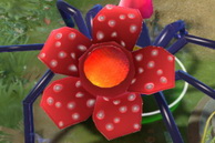 Dota 2 Skin Changer - Queen Arachnia Flower - Dota 2 Mods for Broodmother